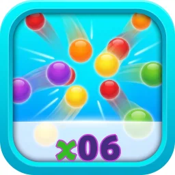 x06